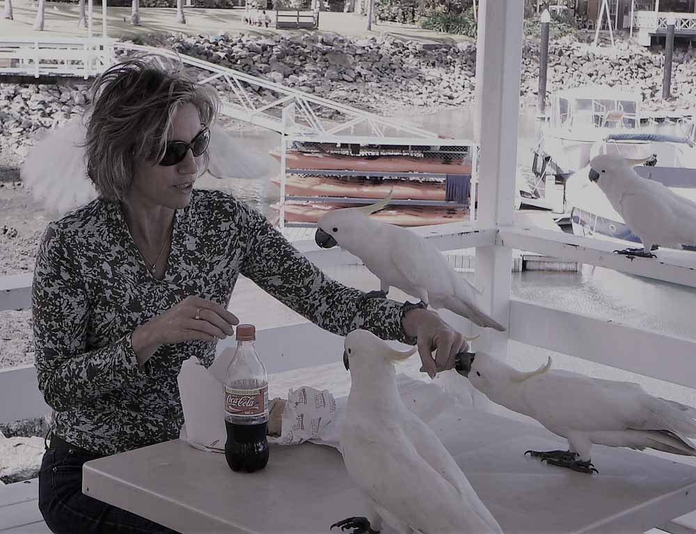 jane mathers hamilton island art