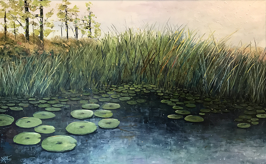 water lilies by jane mathers brisbane artist