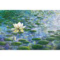 jane mathers art