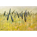 jane mathers art
